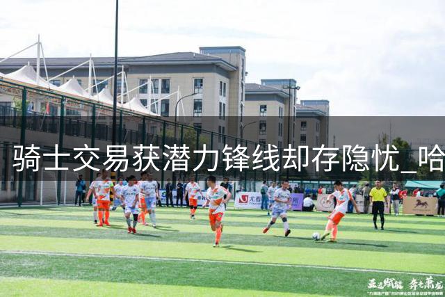 骑士交易获潜力锋线却存隐忧 哈登米切尔组合难解防守困局